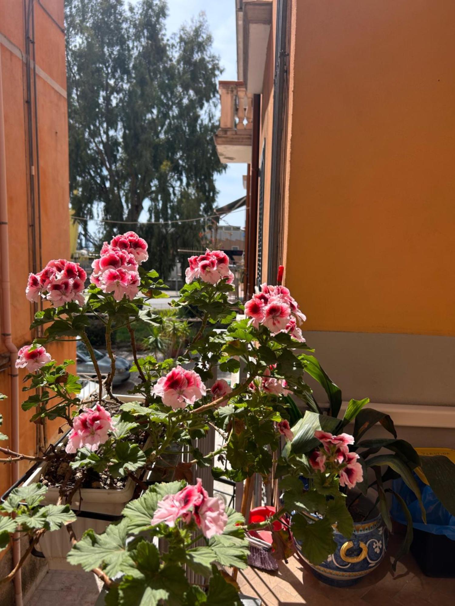 Sissi House Salerno Daire Dış mekan fotoğraf